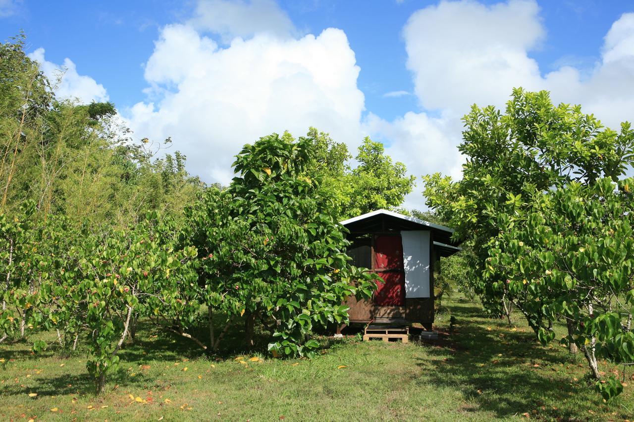 Kirpal Meditation And Ecological Center Pahoa Dış mekan fotoğraf