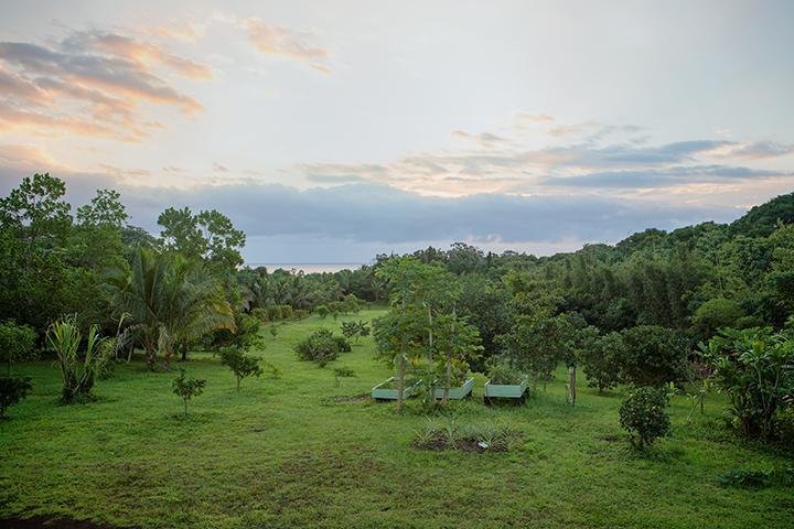 Kirpal Meditation And Ecological Center Pahoa Dış mekan fotoğraf