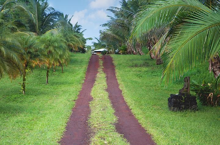 Kirpal Meditation And Ecological Center Pahoa Dış mekan fotoğraf