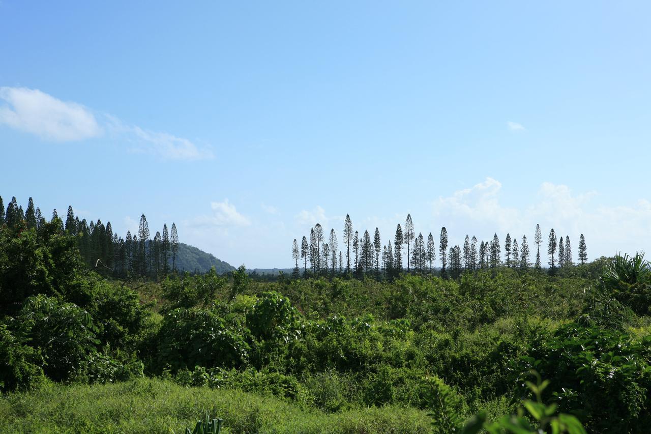 Kirpal Meditation And Ecological Center Pahoa Dış mekan fotoğraf