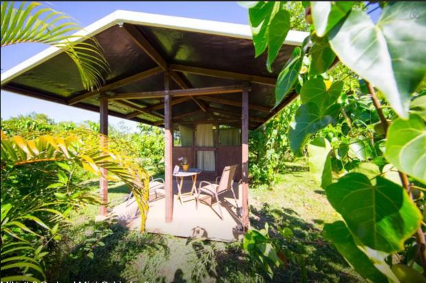 Kirpal Meditation And Ecological Center Pahoa Dış mekan fotoğraf